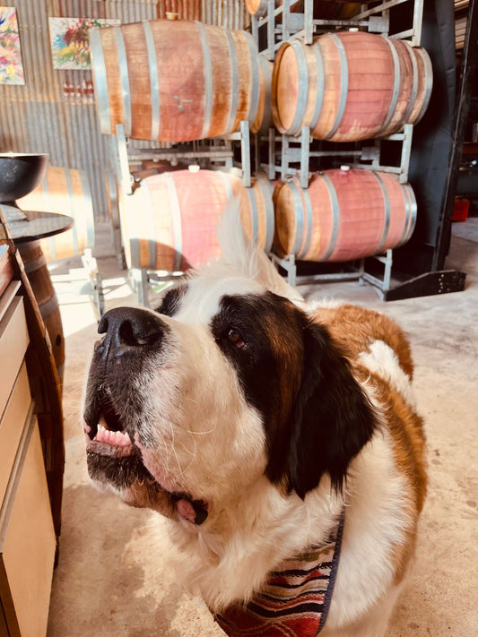 Dog Friendly Winery