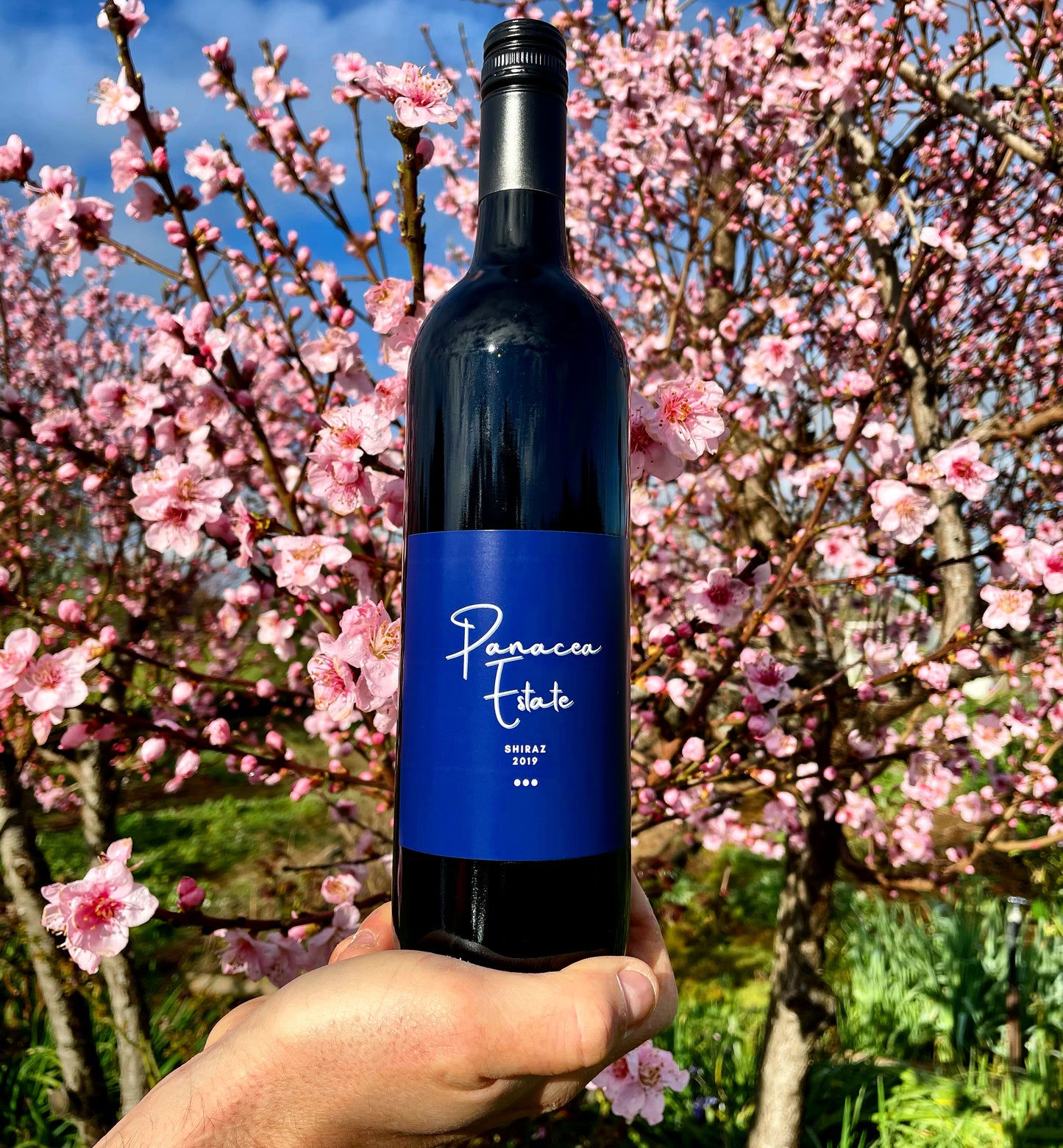 2019 Panacea Estate Shiraz